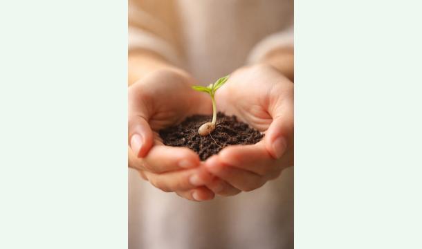 Cover Un pas de plus vers notre bébé -  🌈Un arc-en-ciel après la pluie ☔️ 