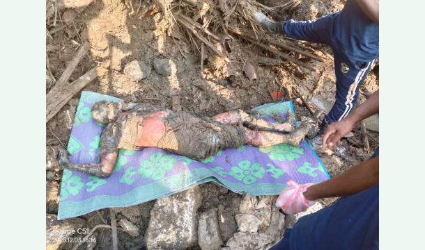 Cover Help Us Rebuild After the Flood