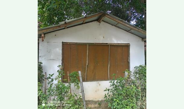 Cover Request for Support to Start a Small Business and Care for My Family