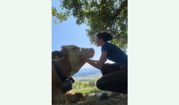 Cover Ein Hof, ein Traum, eine Zukunft,helft uns beim Aufbau unseres Lebenswerks