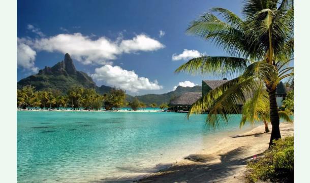 Cover Pour mon futur voyage 