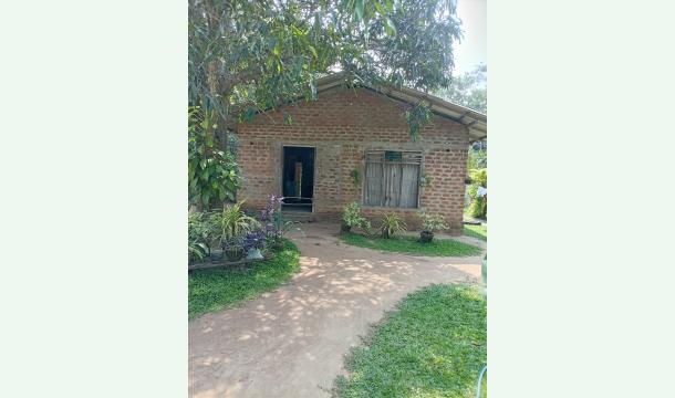 Cover Help me rebuild my home