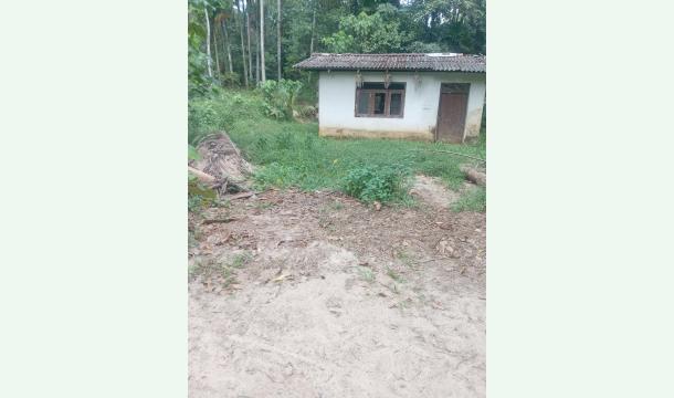 Cover Help us builld a new house