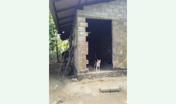 Cover bild a home &pay to loen