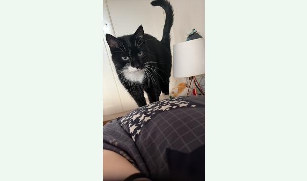 Cover Maman a besoin de vous 