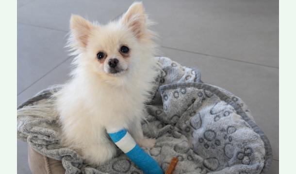 Cover Aide pour l’opération de Yuki 