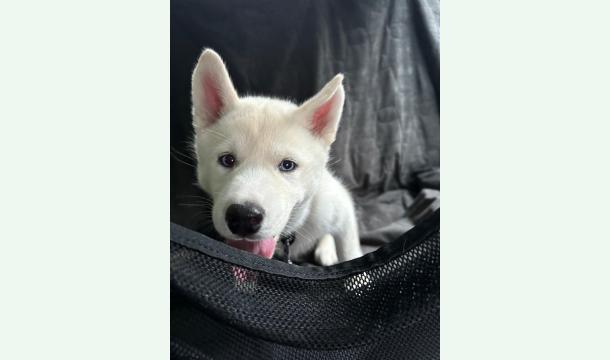 Cover Pot de départ d'Arnaud