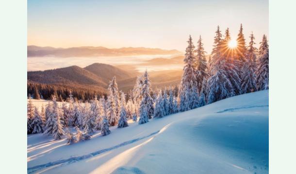 Cover Un coup de pouce pour retrouver un logement