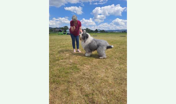 Cover Treffpunkt für Mensch und Hund 