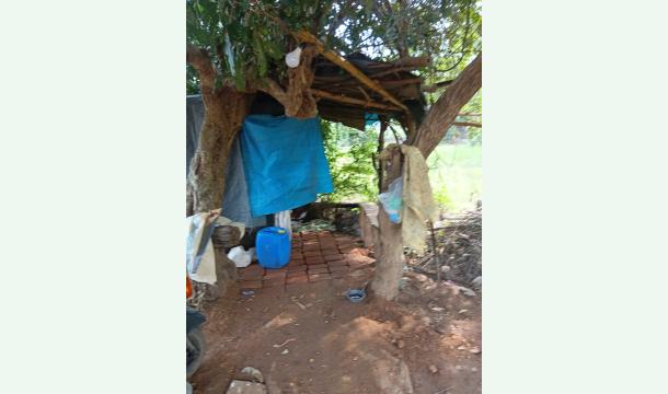 Cover Help us build a new house