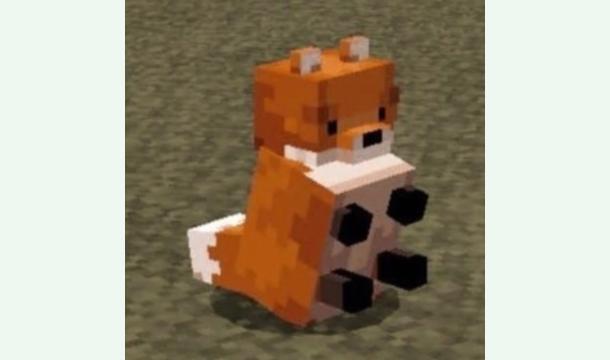 Cover Geld für Essen für zwei 16 jährige