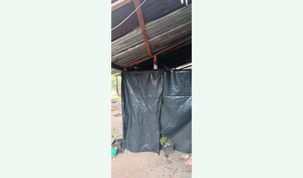 Cover Please help us to build our world 