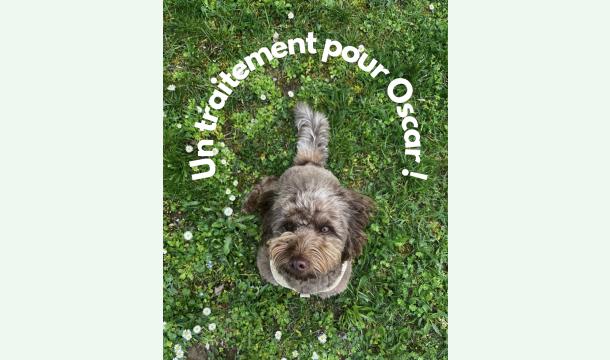 Cover Trouvons un traitement pour Oscar !