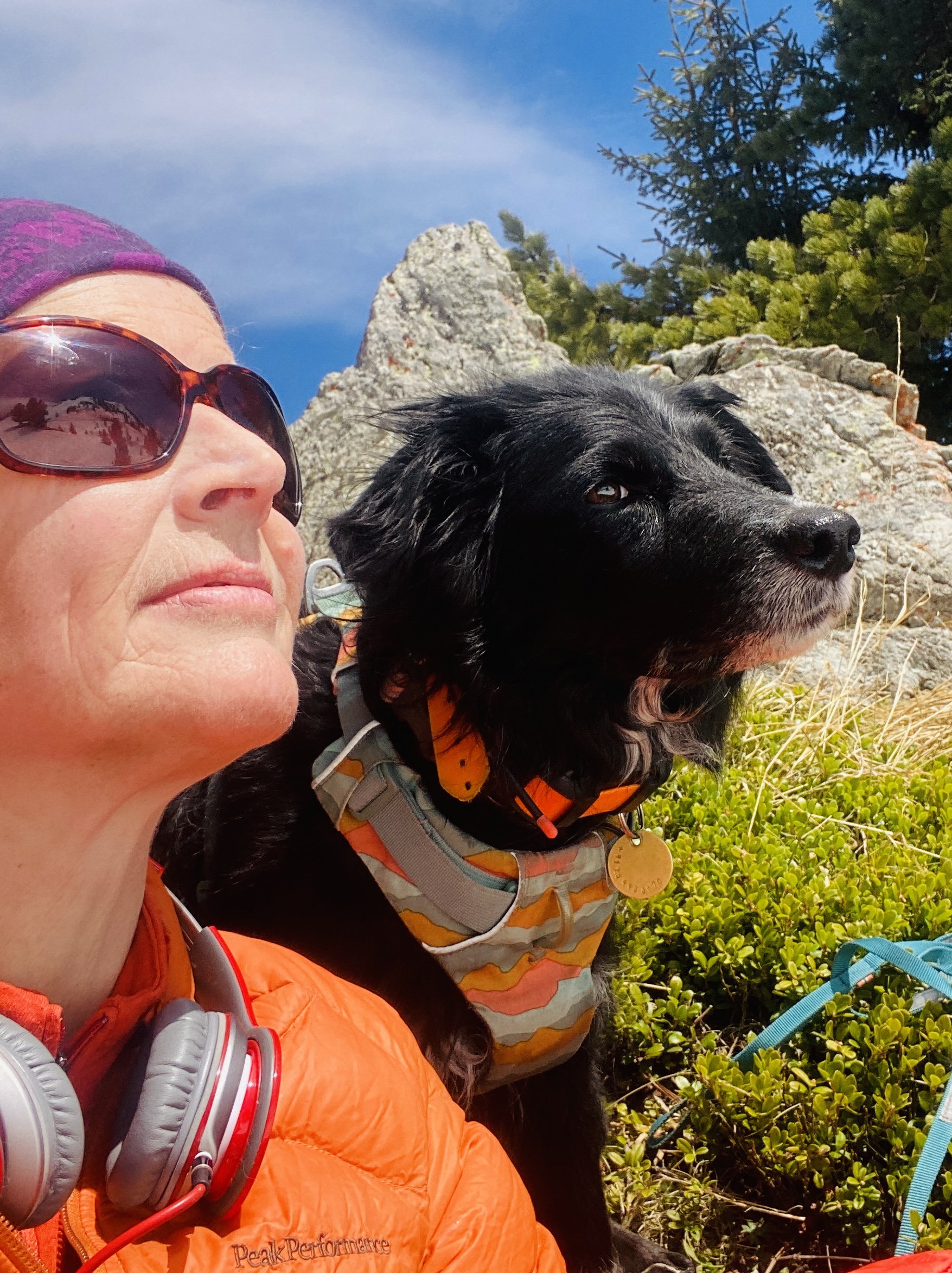 Soutenez CHIPIE 🐺 dans son combat contre l'ostéosarcome
