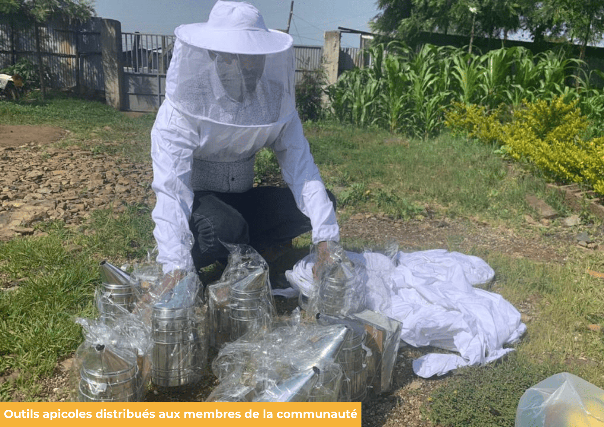 Bee Guardians :  Protéger les abeilles. Restaurer la biodiversité. Renforcer les communautés.